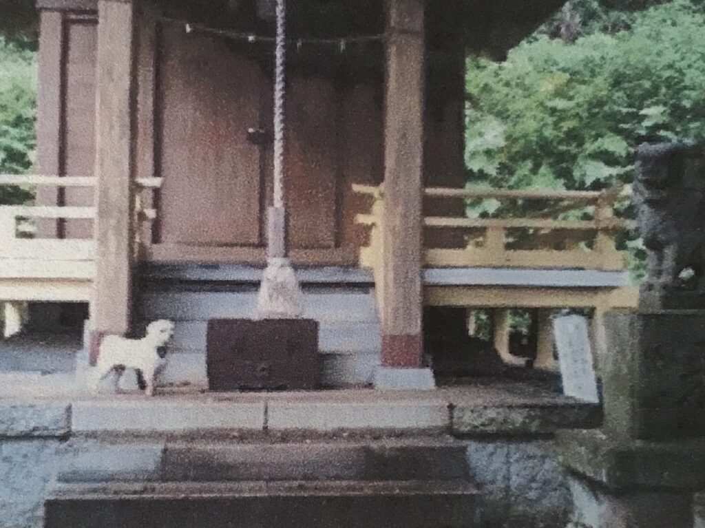 熊野神社とコロ
