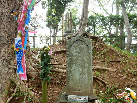 木曽義高のお墓と鯉のぼり
