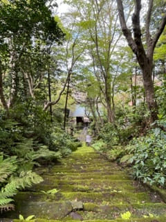 苔階段上から