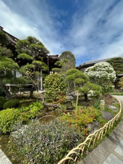 大巧寺の庭園