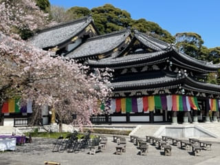 桜と観音堂