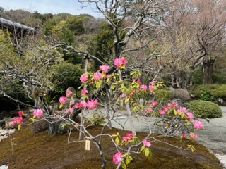 浄妙寺の自然