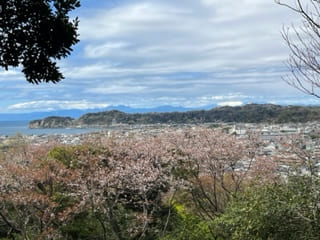 妙法寺裏山からの景色